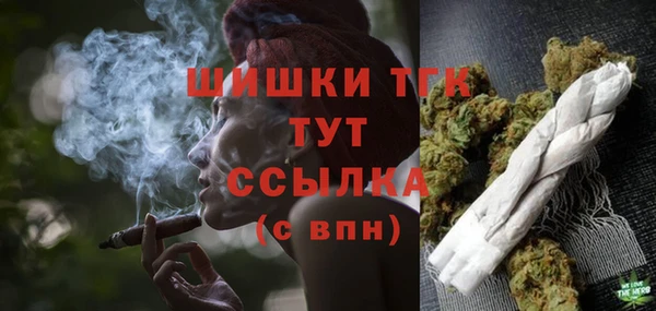 крисы Грязовец